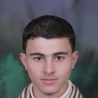 Mohammad Amer
