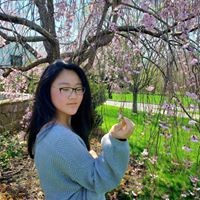 Nova Chen