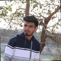 VISHESH MALIK