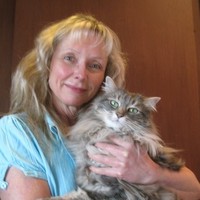 pamela bouchard
