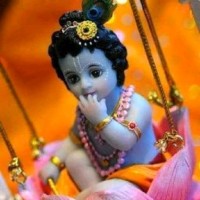 dhanesh dhanu