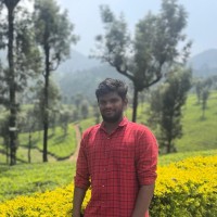 Praveenkumar L