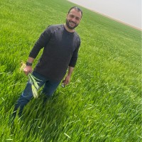 Fadi Joudeh