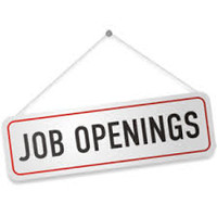 Vadodara Jobs