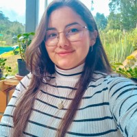 Lorena Acosta Ambito