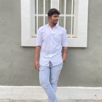 kavin raja