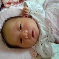 熊全能