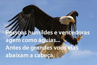 Ricardo Alves