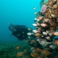 Robbert-Jan Geertsma