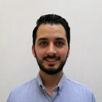 Diego Israel Briseño Franco