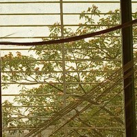 Mohomet NoaH Mohomet