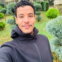 Abdalmoniem Hamad Abdalmoniem
