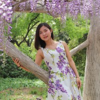 Li Liu