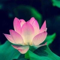 阿布都