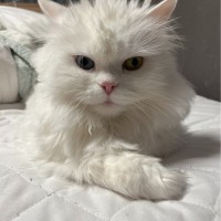 김윤경 ­