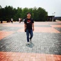吕振振