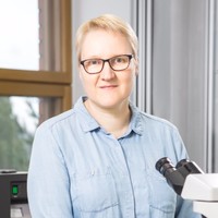 Merja Korkalainen