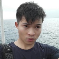 Layer lai