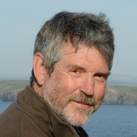 Nick Upton