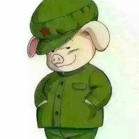 戴新宇