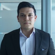 Luis Felipe Vidal Arciniegas