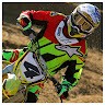 michael buccheri