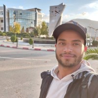 Adel Mansour