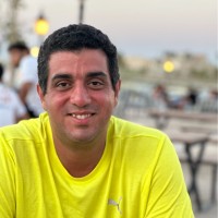 Alaa Aly