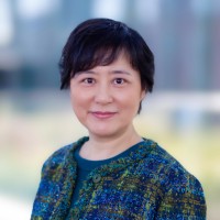 Connie Lili Howe, CA, GAICD