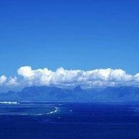 叶树均