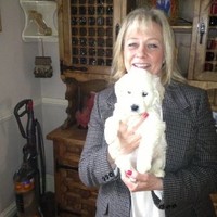 Gaye Bilsdon