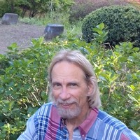 T M Hoffman