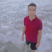 Alaa Nouralden