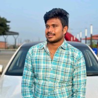 Dhamu P