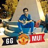 Pejuang Gaming