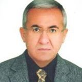 Tankut Kaya