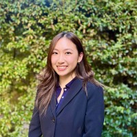 Vy Trinh