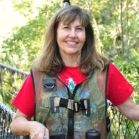 Carol Whitecar