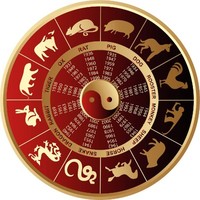 Life Solution Network