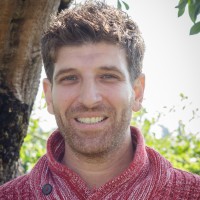 Eli Cohen