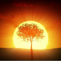 RISING SUN FINANCIAL SOLUTIONS
