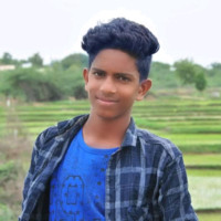 P Dhanunjay