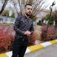 Hardi Fryad