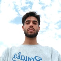 Ali Mosleh