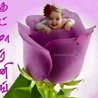 Naga Chandra