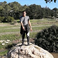 אלון שריד