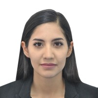 Ana Camila Villafuerte Rubio