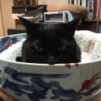 荻野謙太郎