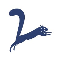 Squirrel CDE
