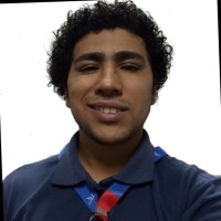 Wellington Henrique Ramos De Jesus